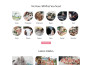 create wordpress website design and development